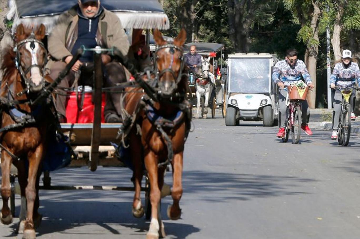 Adalar'da elektrikli taşımayı İETT yapacak | Independent Türkçe