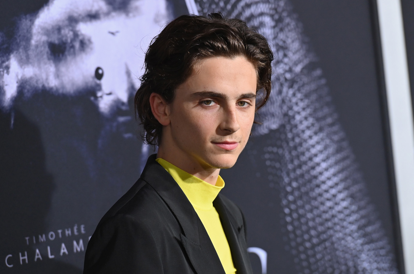 Timothée Chalamet 