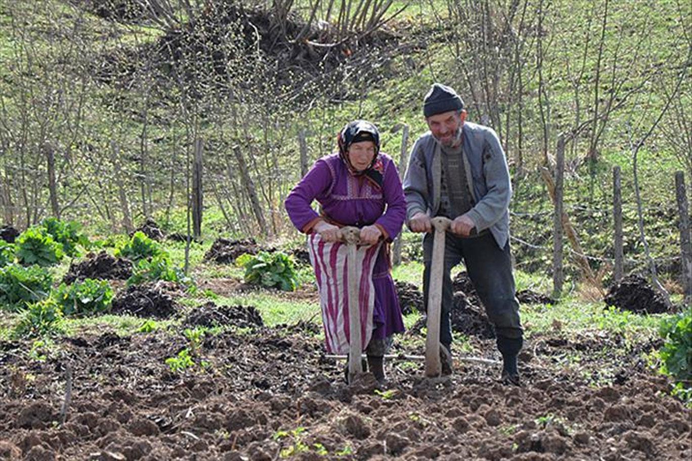 Canli Yaşli Köylü Çoban Şişko Türk