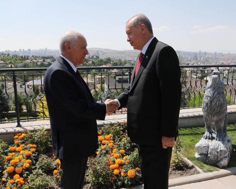 Erdoğan bahçeli