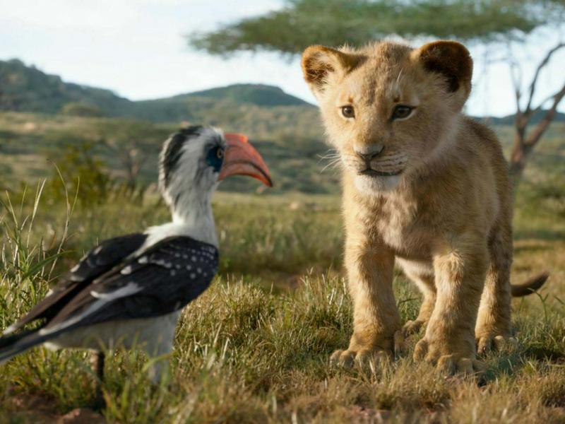 the-lion-king-disney.jpg