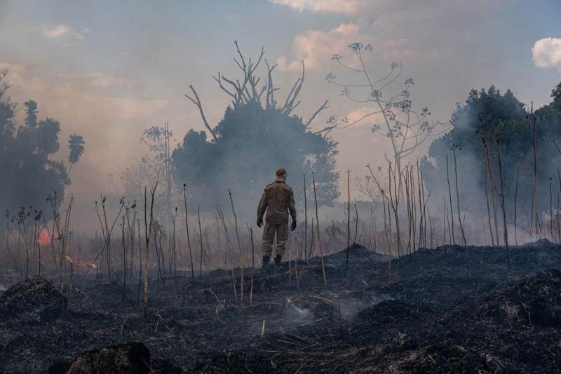 Amazon yangınları - AFP.jpg