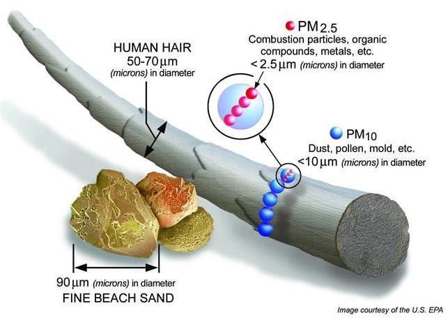 PM2,5 Boyutu.jpg