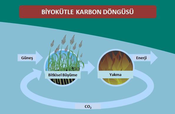 Şekil 7 Biokütle ve Sıfır Karbon Salımı.jpg