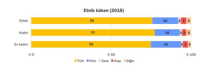 ETNİK.JPG