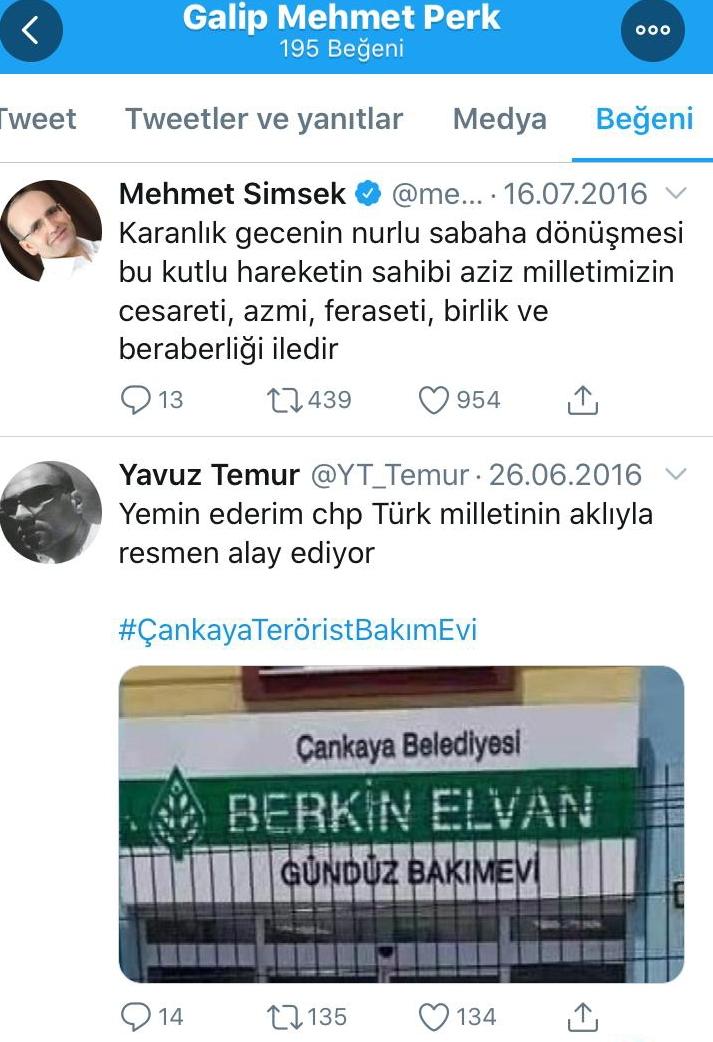 mehmet galip perk2.jpeg