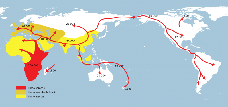 Spreading_homo_sapiens_la.svg_.png