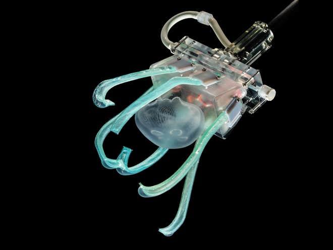 robot-jellyfish-soft-robotics.jpg