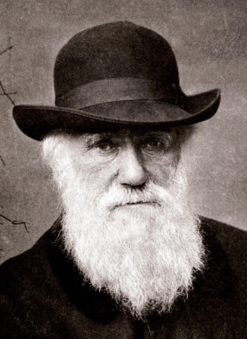 Charles Darwin.jpeg