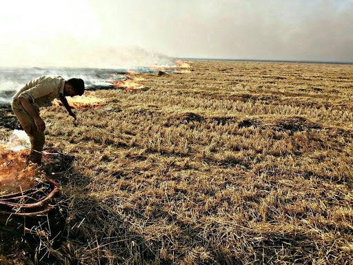 Cafer Telaferi- Ninova da buğday tarlaları ateşe verildi.jpg