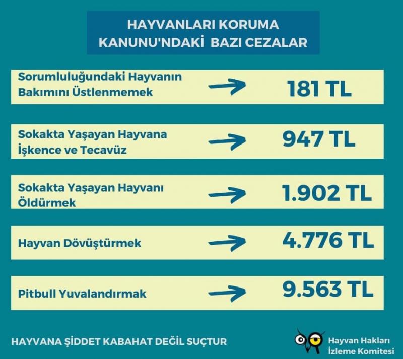 Hayvan Hakları İzleme Komitesi cezalar.jpg