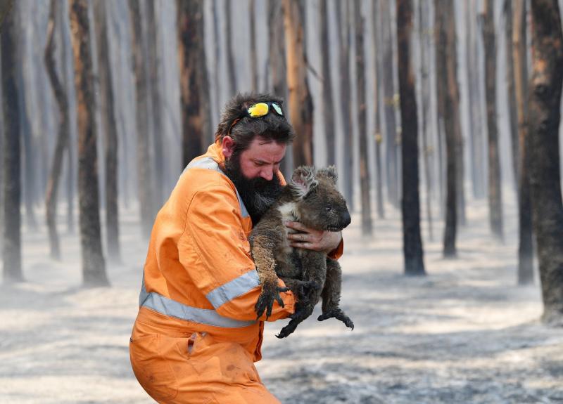 Avustralya Reuters.jpg