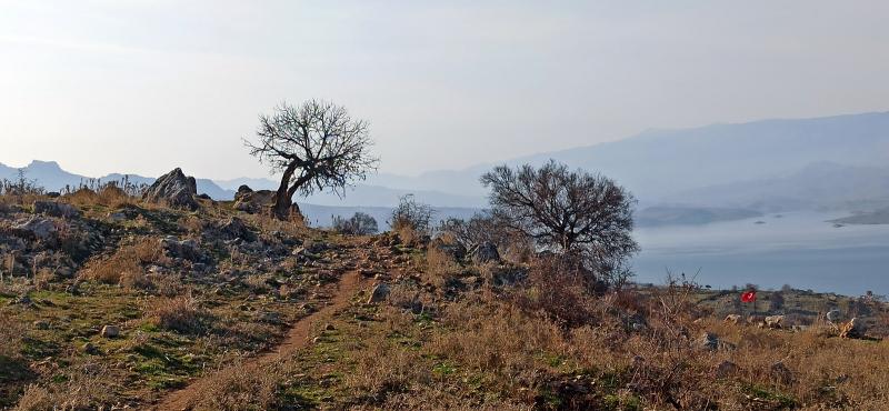 Şeyhmus Çakırtaş (14).jpg