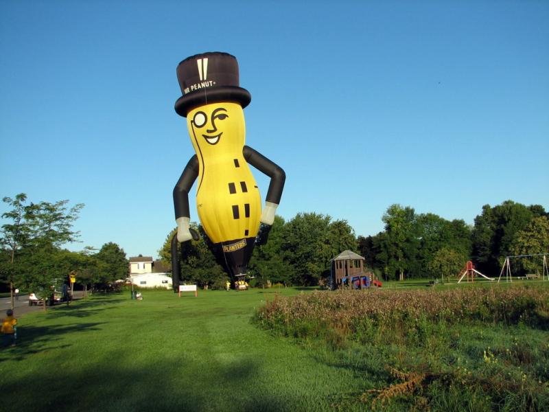 Mr._Peanut_balloon_lands_in_children's_park.jpg