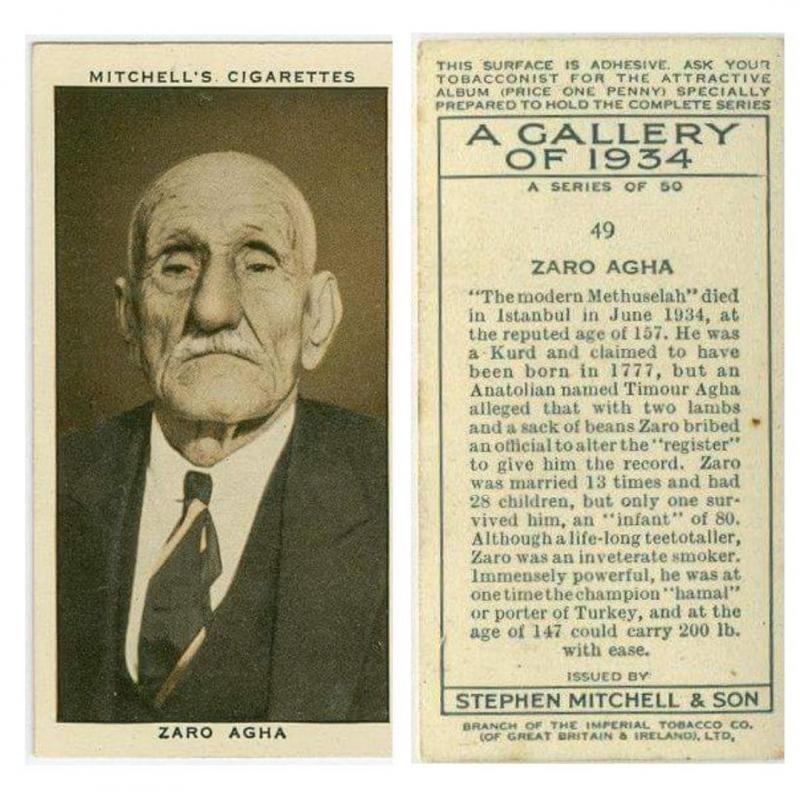 Zaro AĞA 4.jpg