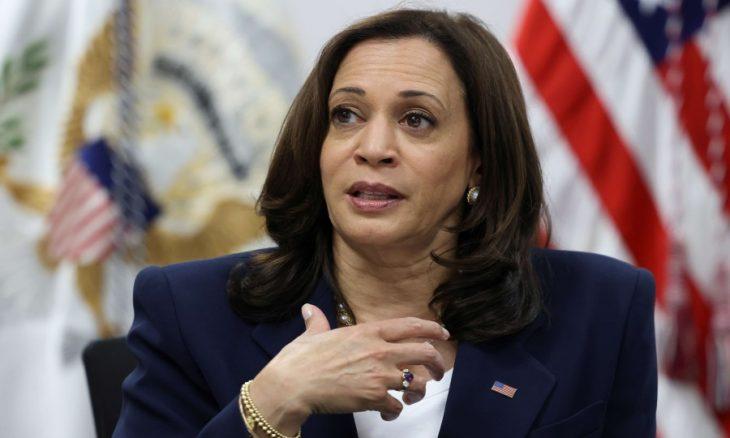 Başkan Yardımcısı Kamala Harris'in Biden'ın yerine geçeceği yolunda varsayımlar var.  .jpg