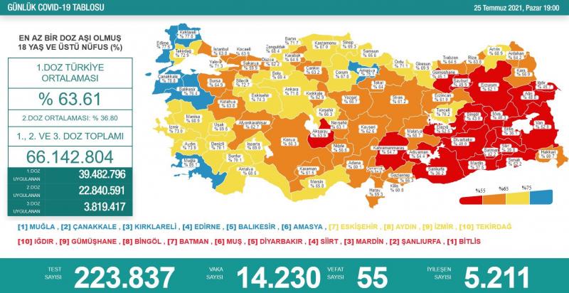 Türkiye Aşı Haritası'nda Diyarbakır Kırmızı Kategoride.jpg