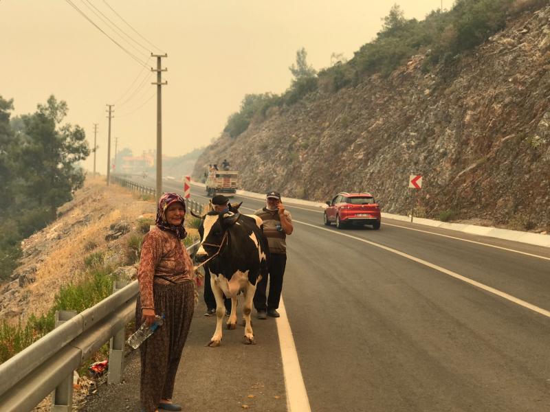 Antalya'nın Gündoğmuş ilçesinde önceki gün çıkan orman yangını Alanya'ya sıçradı. Gündoğmuş'ta bir, Alanya'da iki mahalle tahliye edildi..jpg