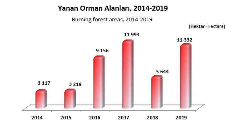 Yanan Orman Alanları- Orman Genel Müdürlüğü 2019 Ormancılık İstatistikleri.jpg