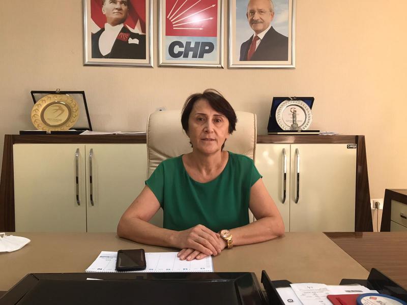 CHP Diyarbakır İl Başkanı Gönül Özel