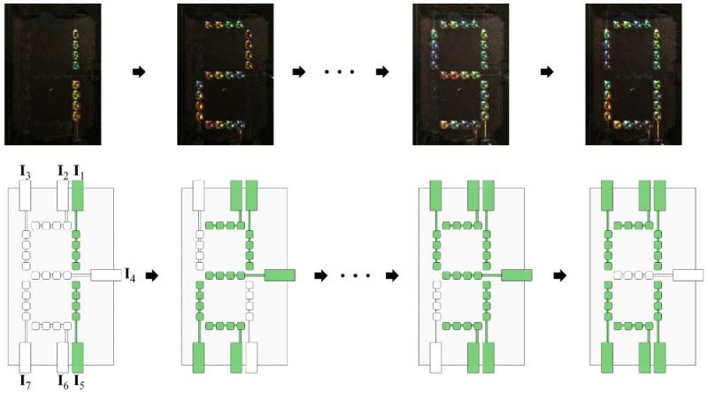 Artificial-Chromatophore-Seven-Segment-Color-Displays1.jpg