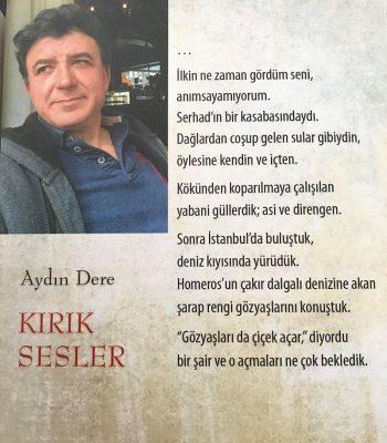 Yazarın ödül alan şiir kitabı Kırık Sesler .jpg