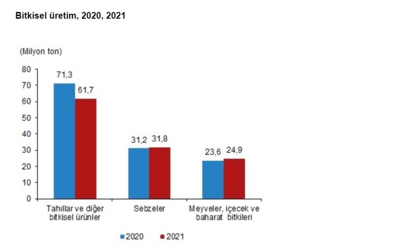 TÜİK - Bitkisel Üretim 2020, 2021.jpg