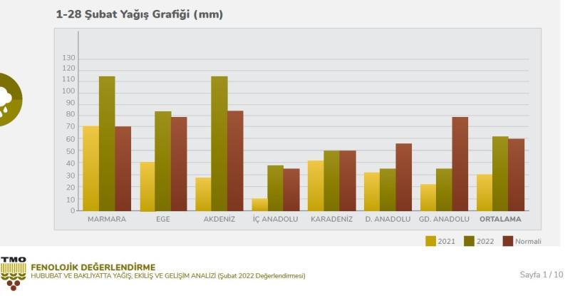 grafik1.jpg