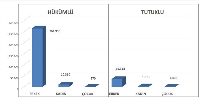 Cezaevi hükümlü ve tutuklu grafiği