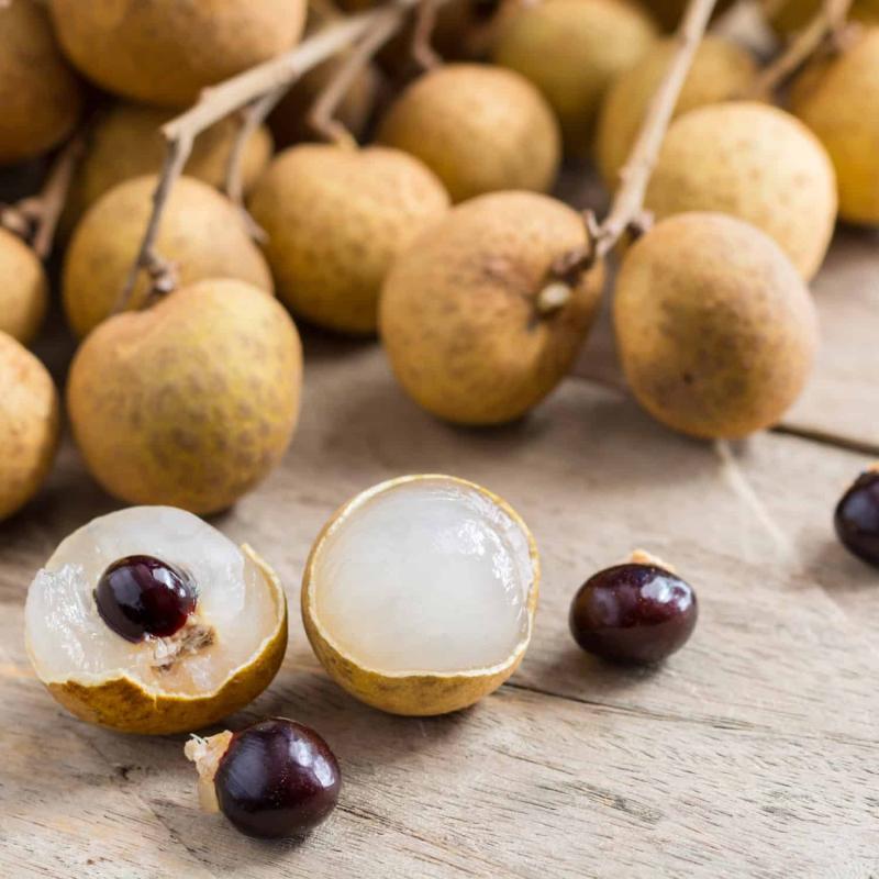 longan