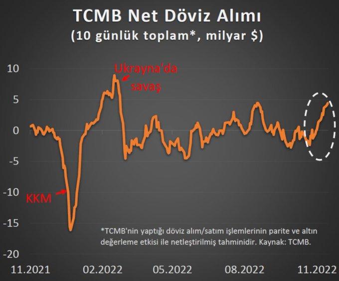 Döviz alımı