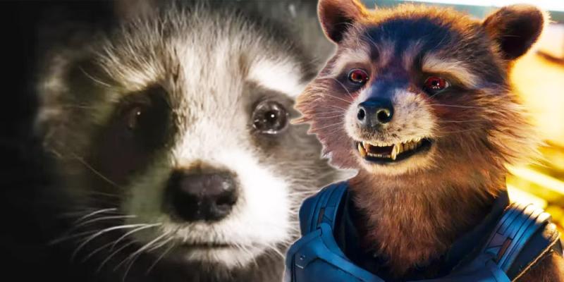 Rocket Raccoon