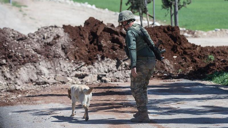 tskköpekeğitimi.jpg