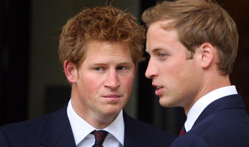 Harry ve William