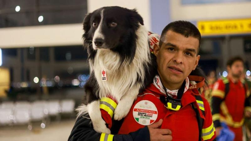 230207145456-mexico-rescue-dog-earthquake.jpg