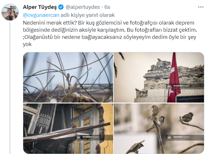 alpertüydeş.PNG