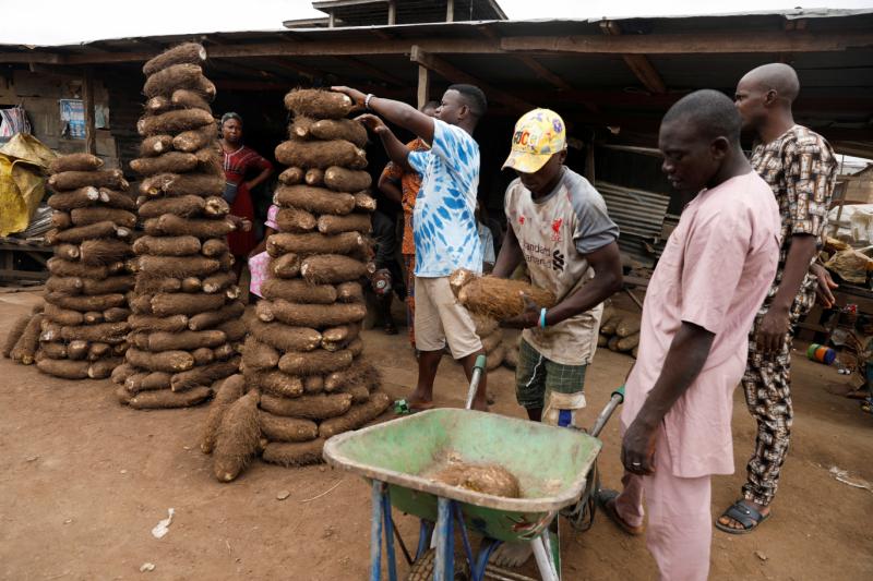 Yam Bati Afrika'da bol miktarda yetiştiriliyor Reuters.jpg