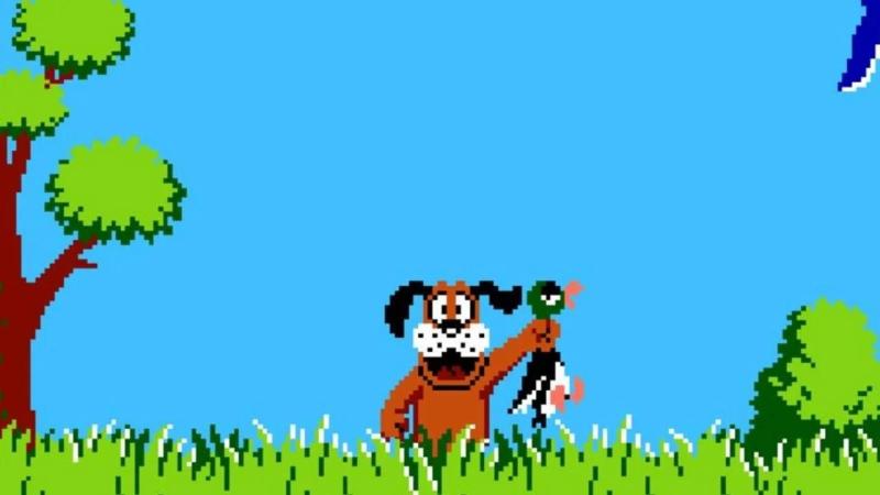 Duck Hunt