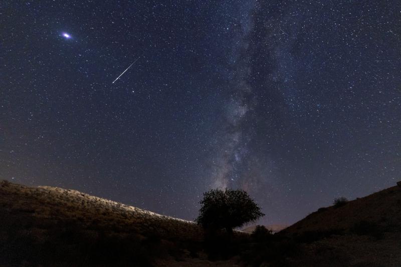 perseid reuters.jpg