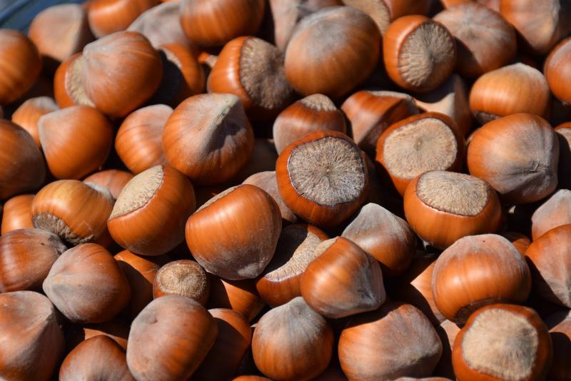 hazelnuts-3783066_1280.jpg