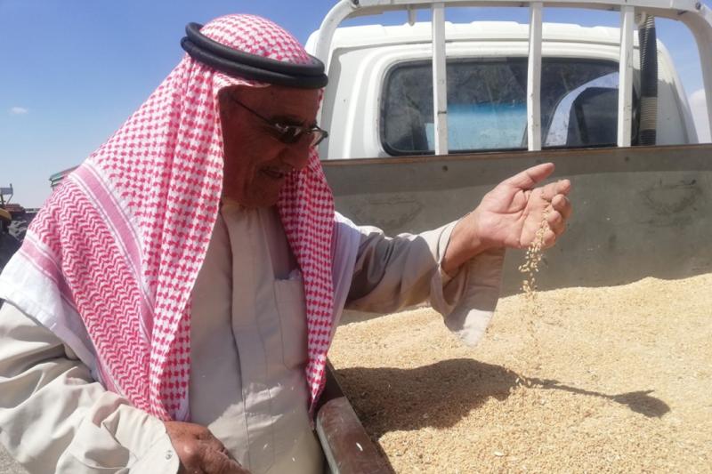 Rojava'daki tahıl mahsulü, Suriye için yaşamsal bir meseledir. Kaynak-independentarabia.com_.jpg