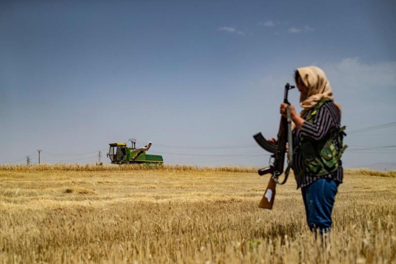 Rojavalı bir köylü kadın hasat zamanı tarlasının güvenliği için işbaşında. Fotoğraf-AFPjpg.jpg