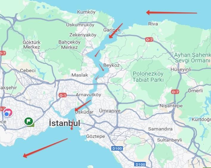 Şekil 2. İstanbul Boğazı’nda balık göç yolu