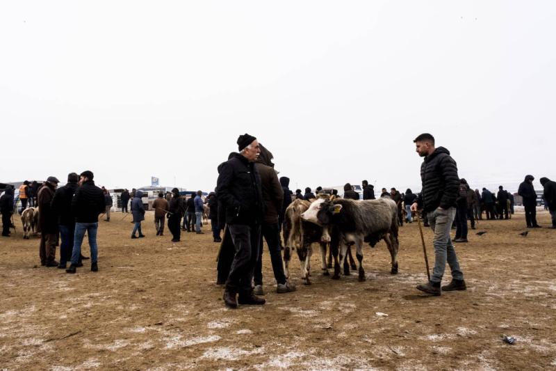 kars (12)