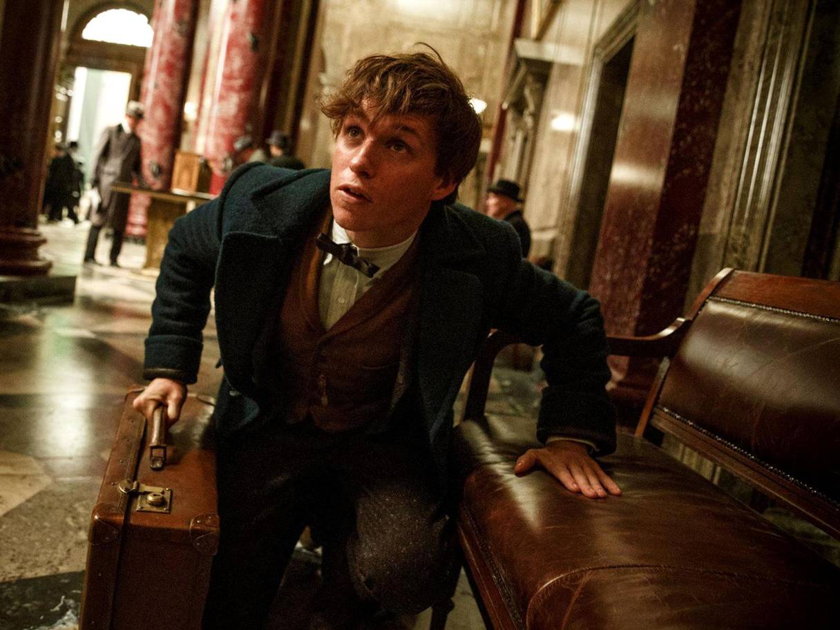 4. Fantastic Beasts and Where to Find Them.jpg