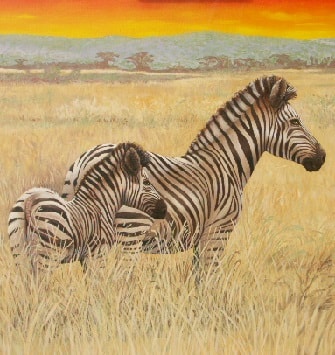 zebra.JPG