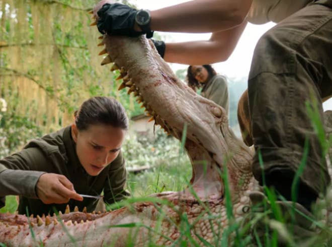 Annihilation - Netflix.jpg