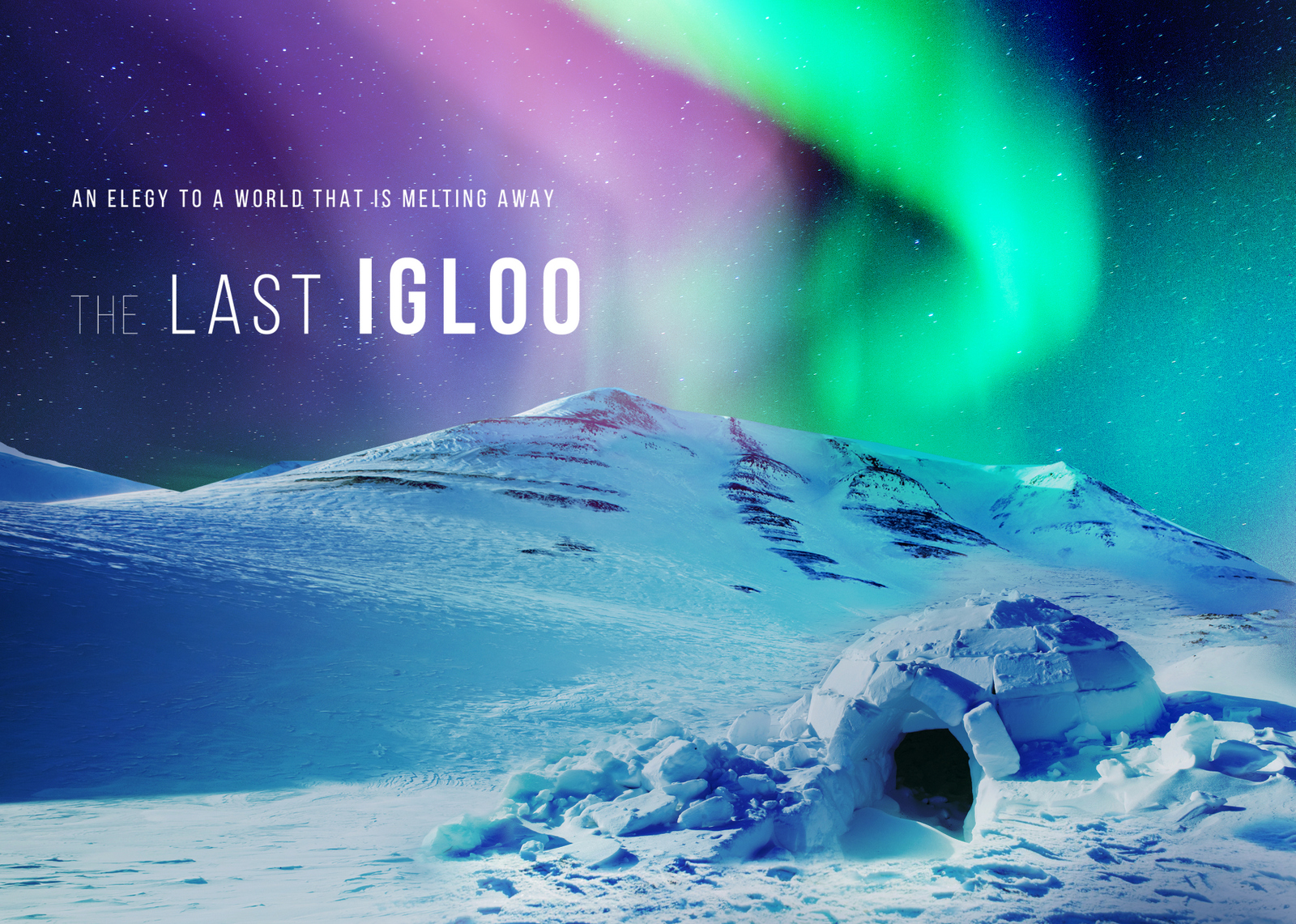 The Last Igloo.jpg