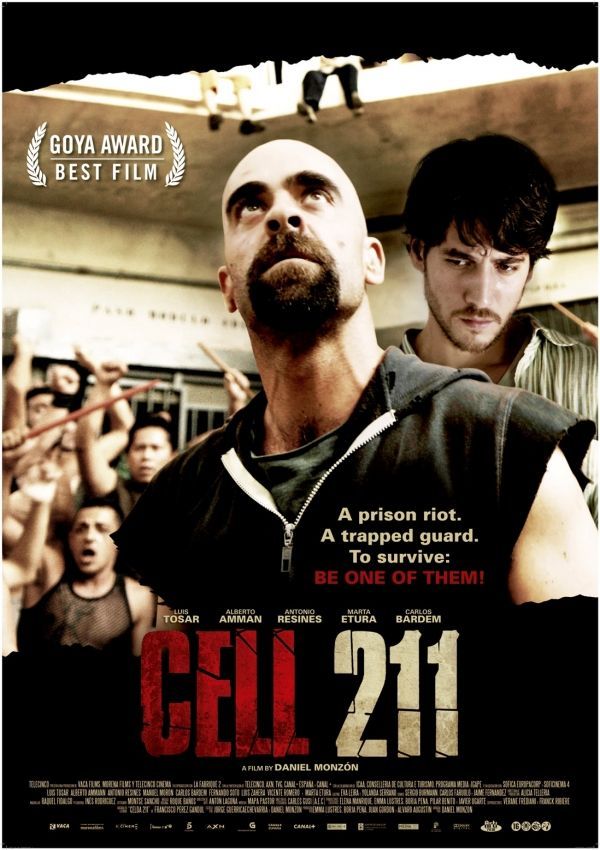 Cell 211.jpg